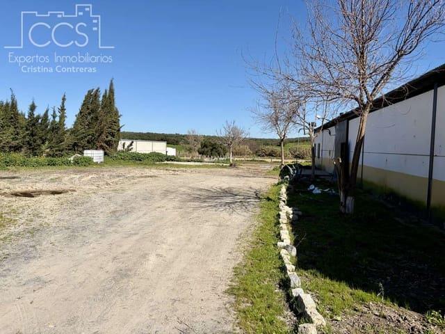 Finca/Casa Rural en alquiler en Pilas, Sevilla