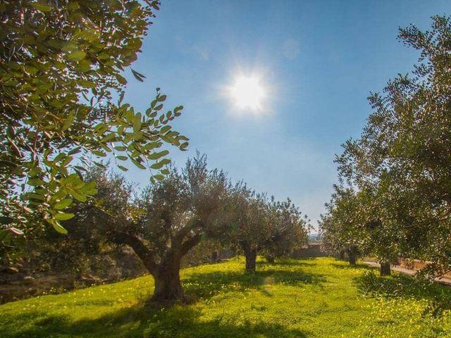 Finca/Casa Rural en alquiler en Teulada, Alicante Costa Blanca