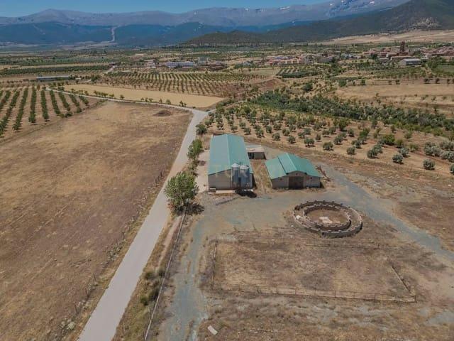 Finca/Casa Rural en venta en Cogollos de Guadix, Granada