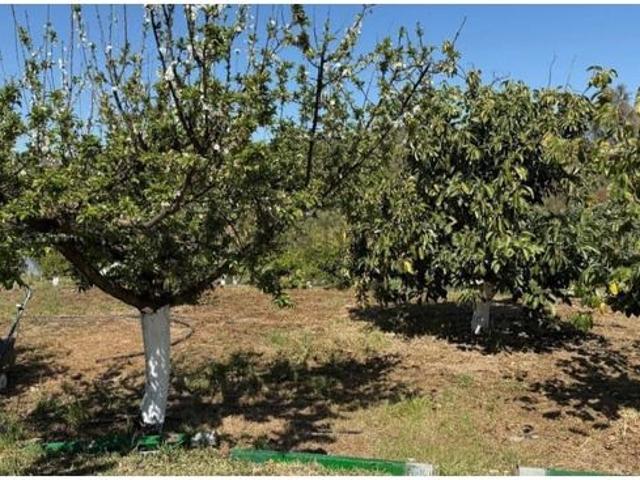 Finca/Casa Rural en venta en Coín, Málaga