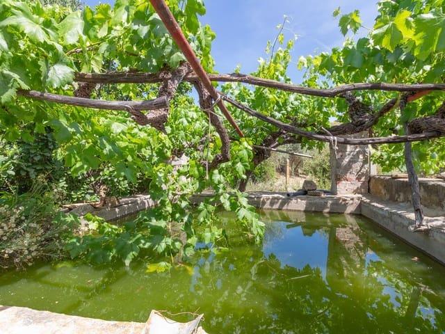 Finca/Casa Rural en venta en Comares, Málaga