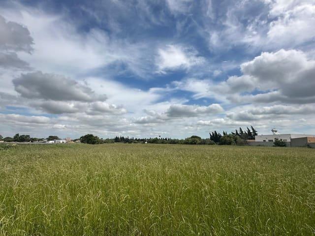 Finca/Casa Rural en venta en Conil de la Frontera, Cádiz Costa de la Luz