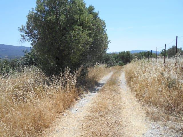 Finca/Casa Rural en venta en Corbera d'Ebre, Tarragona