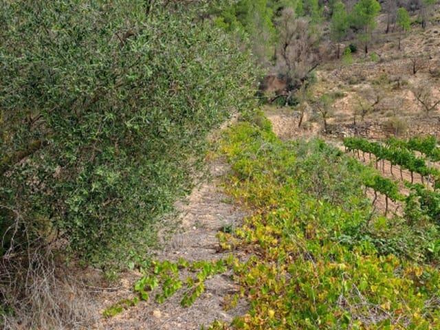 Finca/Casa Rural en venta en Corbera d'Ebre, Tarragona