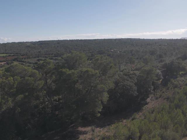 Finca/Casa Rural en venta en Costitx, Mallorca