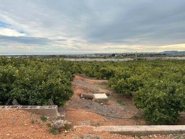 Finca/Casa Rural en venta en Cabanes, Castellón Costa Azahar