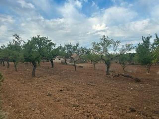 Finca/Casa Rural en venta en Cabanes, Castellón Costa Azahar