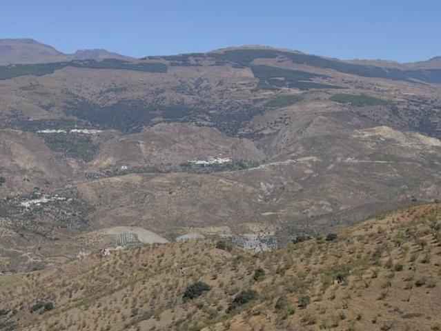 Finca/Casa Rural en venta en Cádiar, Granada