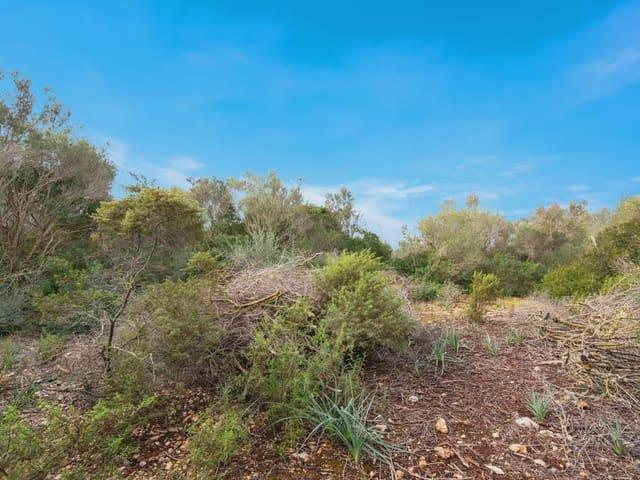 Finca/Casa Rural en venta en Cala Millor, Mallorca