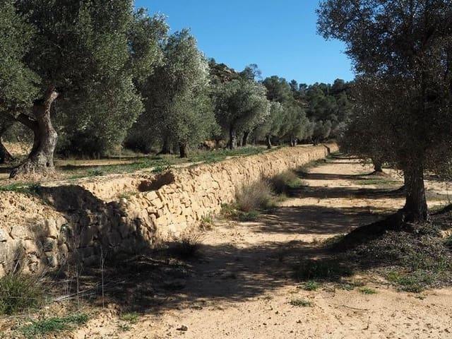 Finca/Casa Rural en venta en Calaceite, Teruel