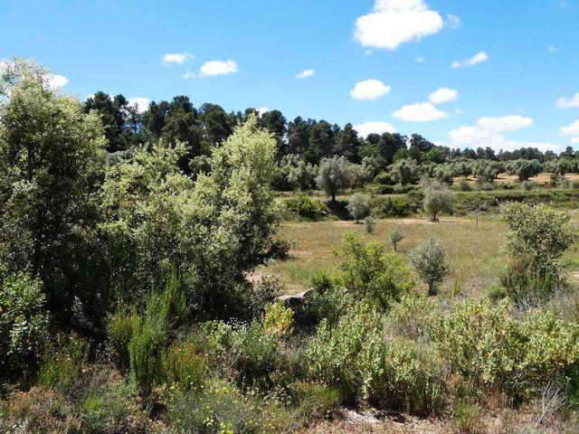 Finca/Casa Rural en venta en Calaceite, Teruel