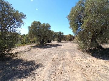 Finca/Casa Rural en venta en Calaceite, Teruel
