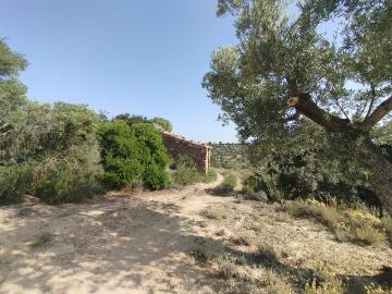 Finca/Casa Rural en venta en Calaceite, Teruel