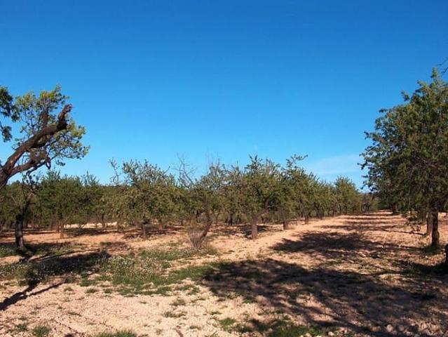 Finca/Casa Rural en venta en Calaceite, Teruel