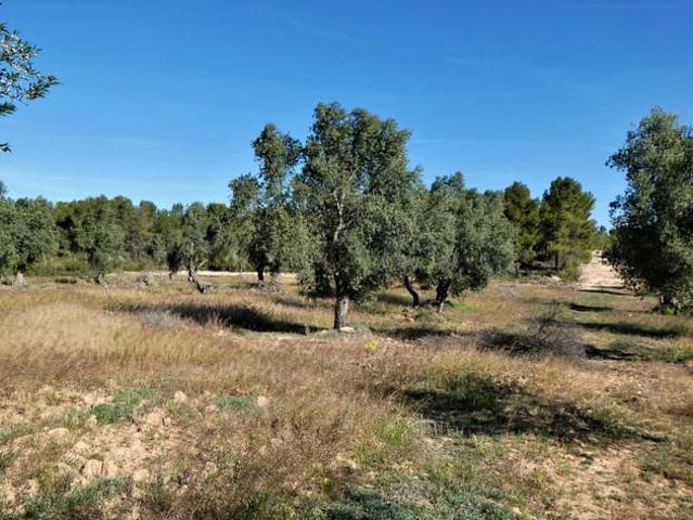 Finca/Casa Rural en venta en Calaceite, Teruel