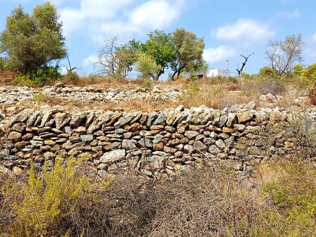 Finca/Casa Rural en venta en Càlig, Castellón Costa Azahar