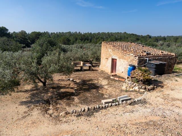 Finca/Casa Rural en venta en Camarles, Tarragona