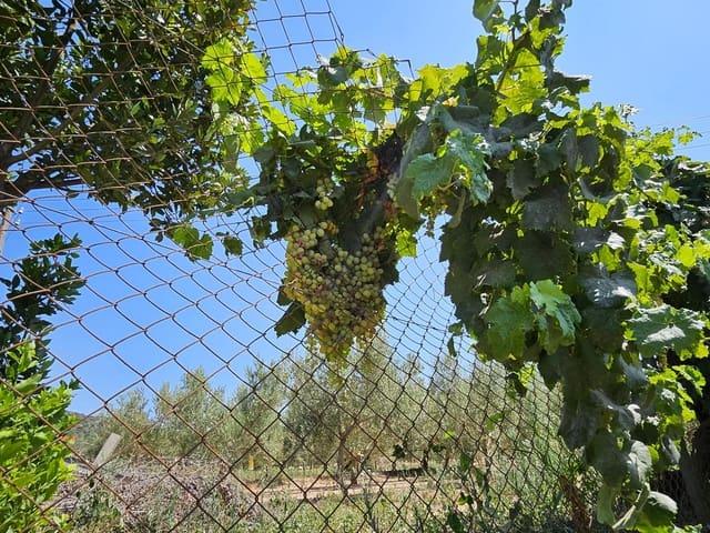 Finca/Casa Rural en venta en Camp redo, Tarragona