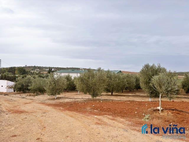 Finca/Casa Rural en venta en Campillos, Málaga