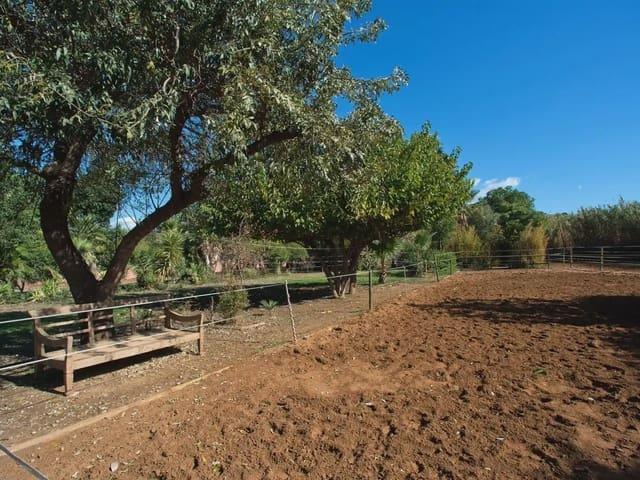 Finca/Casa Rural en venta en Cancelada, Málaga Costa del Sol