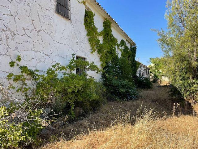 Finca/Casa Rural en venta en Canara, Murcia
