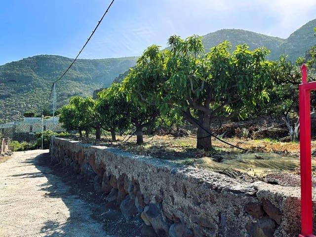 Finca/Casa Rural en venta en Candelaria, Tenerife