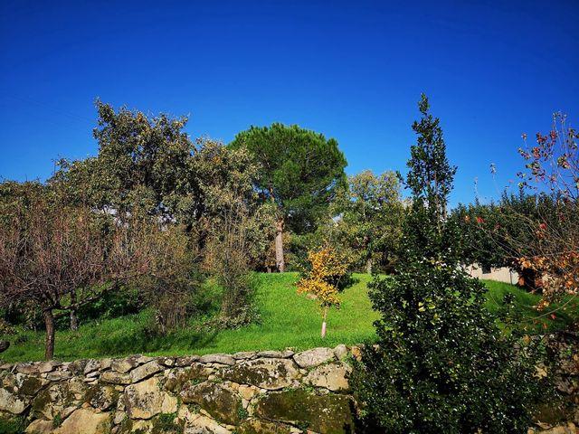 Finca/Casa Rural en venta en Candeleda, Avila