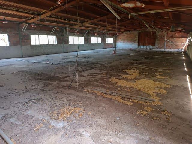 Finca/Casa Rural en venta en Canet lo Roig, Castellón