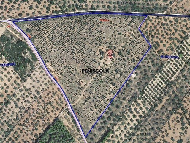 Finca/Casa Rural en venta en Canet lo Roig, Castellón