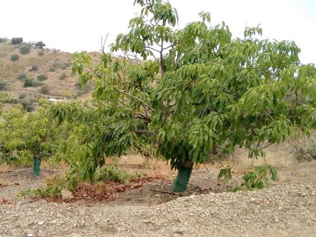 Finca/Casa Rural en venta en Canillas de Aceituno, Málaga