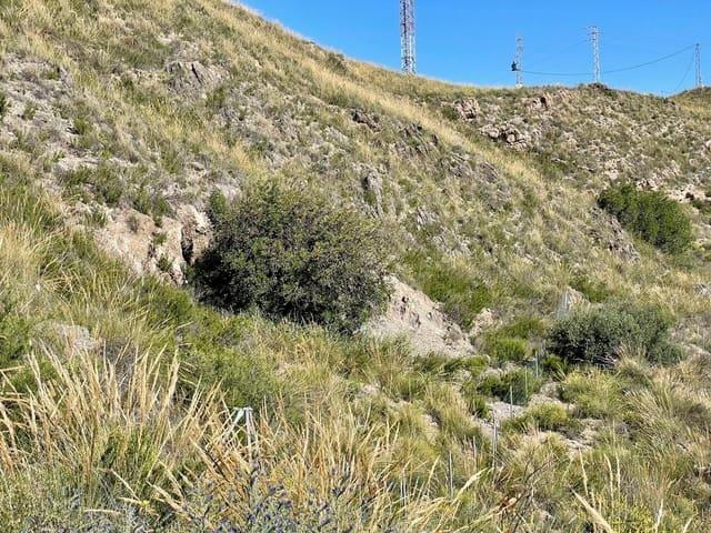 Finca/Casa Rural en venta en Cantoria, Almería