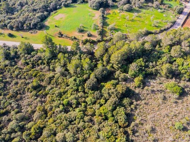 Finca/Casa Rural en venta en Canyamel, Mallorca