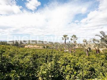 Finca/Casa Rural en venta en Carcaixent, Valencia
