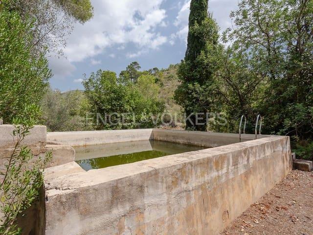 Finca/Casa Rural en venta en Carcaixent, Valencia