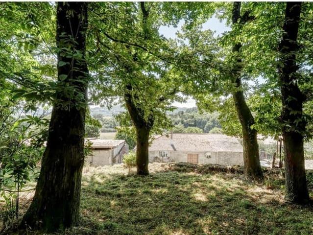 Finca/Casa Rural en venta en Carballedo, Lugo