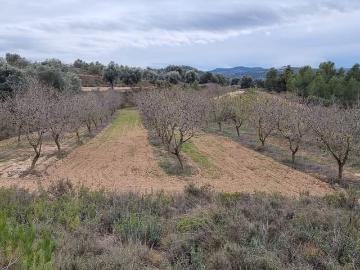 Finca/Casa Rural en venta en Caseres, Tarragona