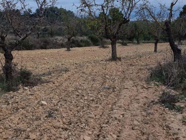 Finca/Casa Rural en venta en Caseres, Tarragona