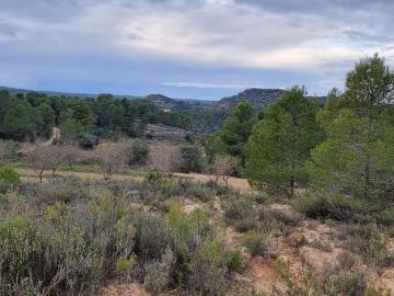 Finca/Casa Rural en venta en Caseres, Tarragona