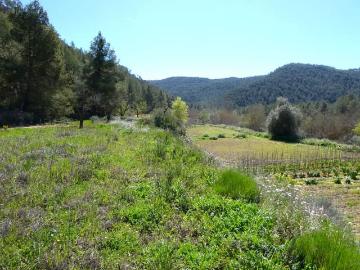 Finca/Casa Rural en venta en Caseres, Tarragona