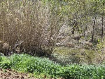 Finca/Casa Rural en venta en Caseres, Tarragona