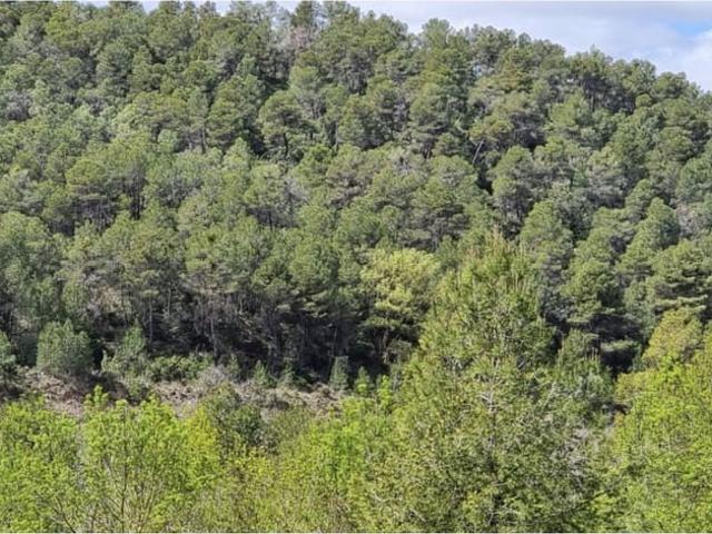 Finca/Casa Rural en venta en Caseres, Tarragona