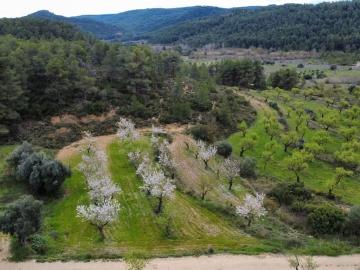 Finca/Casa Rural en venta en Caseres, Tarragona