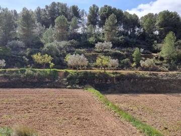Finca/Casa Rural en venta en Caseres, Tarragona