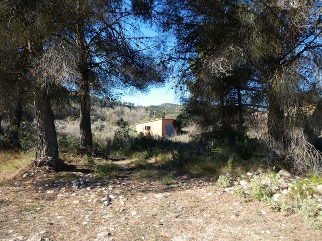 Finca/Casa Rural en venta en Caseres, Tarragona