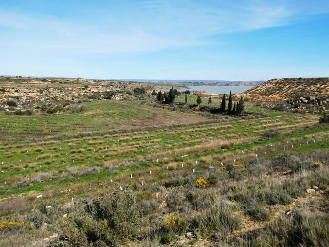 Finca/Casa Rural en venta en Caspe, Zaragoza