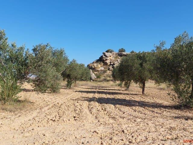 Finca/Casa Rural en venta en Caspe, Zaragoza