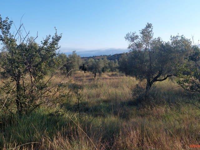 Finca/Casa Rural en venta en Caspe, Zaragoza