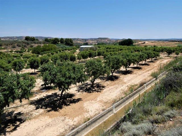 Finca/Casa Rural en venta en Caspe, Zaragoza