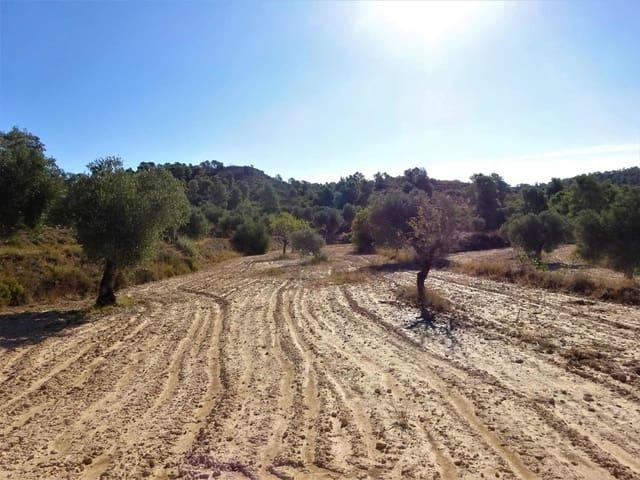 Finca/Casa Rural en venta en Caspe, Zaragoza