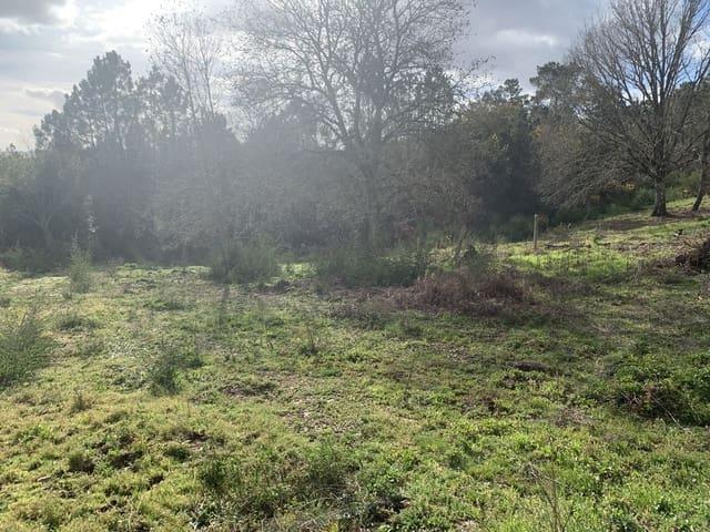 Finca/Casa Rural en venta en Castrelo de Miño, Orense